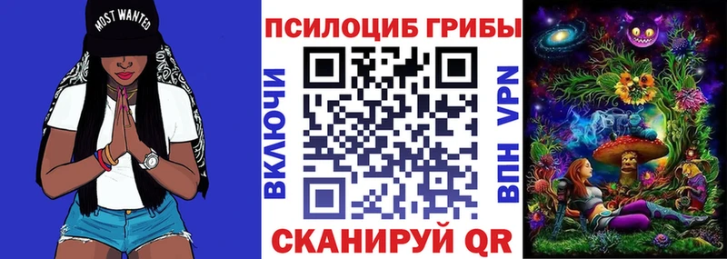 Псилоцибиновые грибы прущие грибы KRAKEN Чердынь